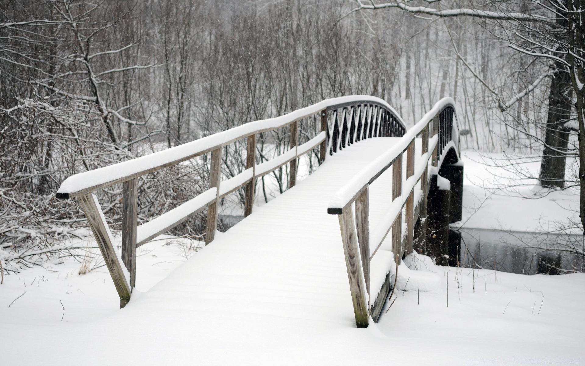 winter snow wood cold frost tree weather ice landscape season snowstorm frozen park bench outdoors