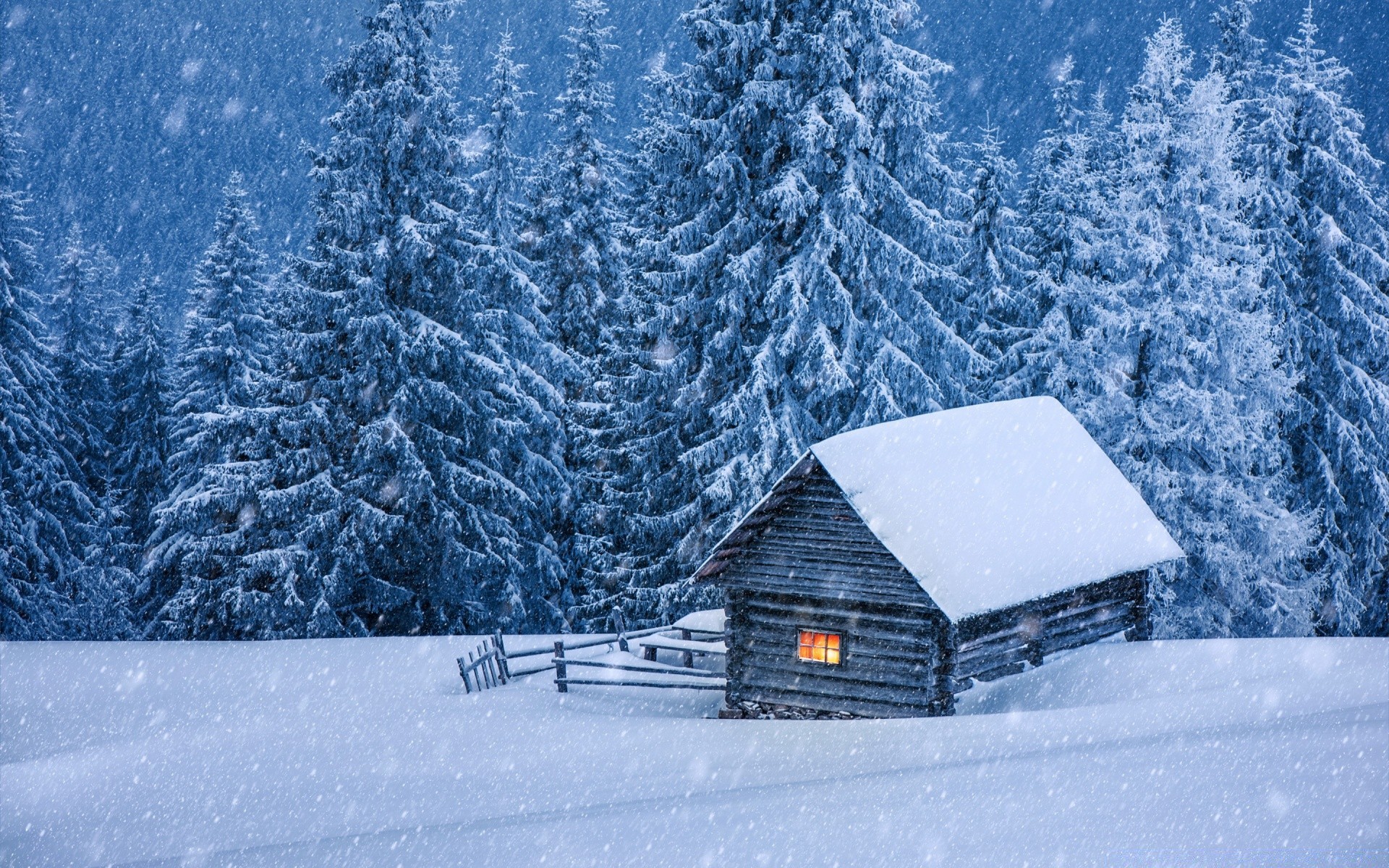 winter snow cold frost frozen ice wood season snowstorm mountain frosty snowy weather snowdrift landscape snow-white tree icy