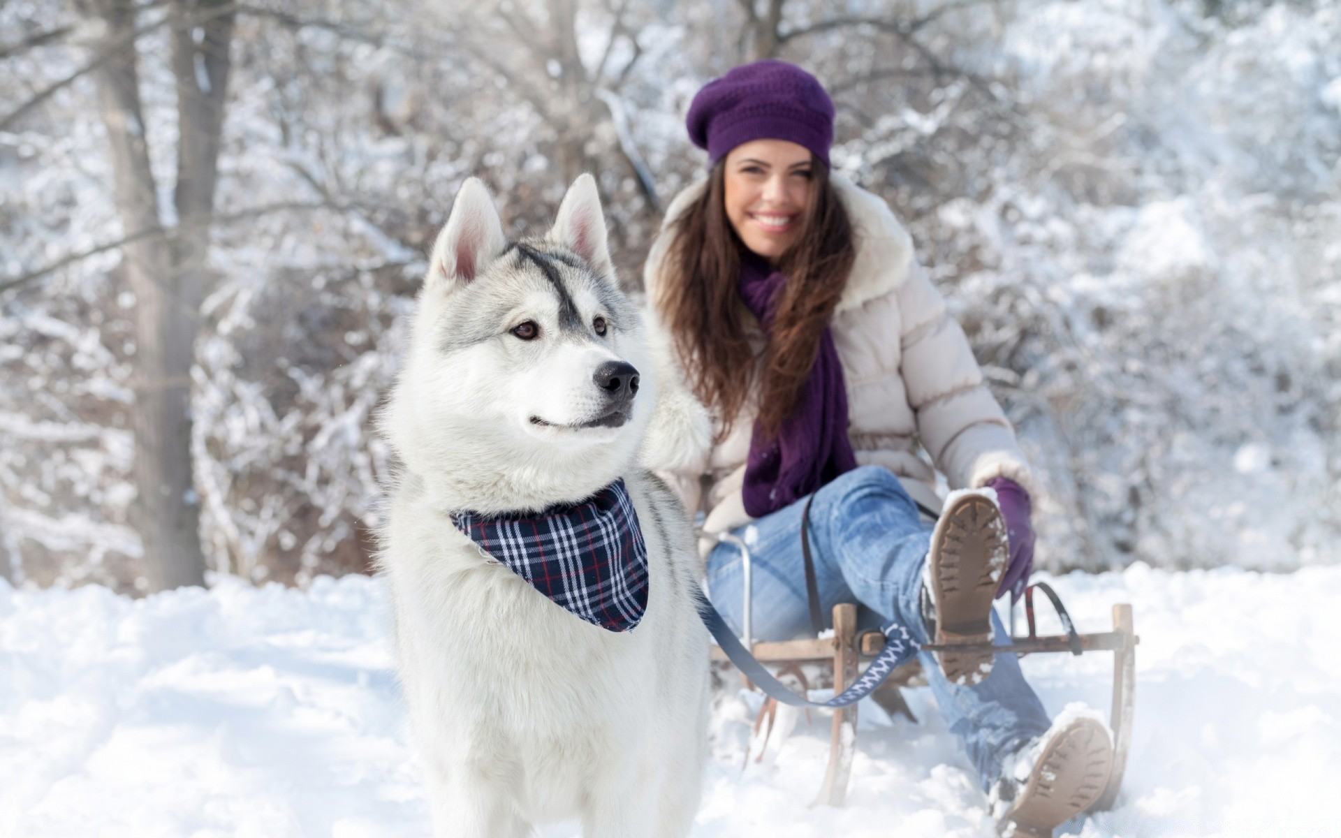 winter snow cold sledge frost outdoors season sled frosty ice wood fun lid scarf weather nature woman