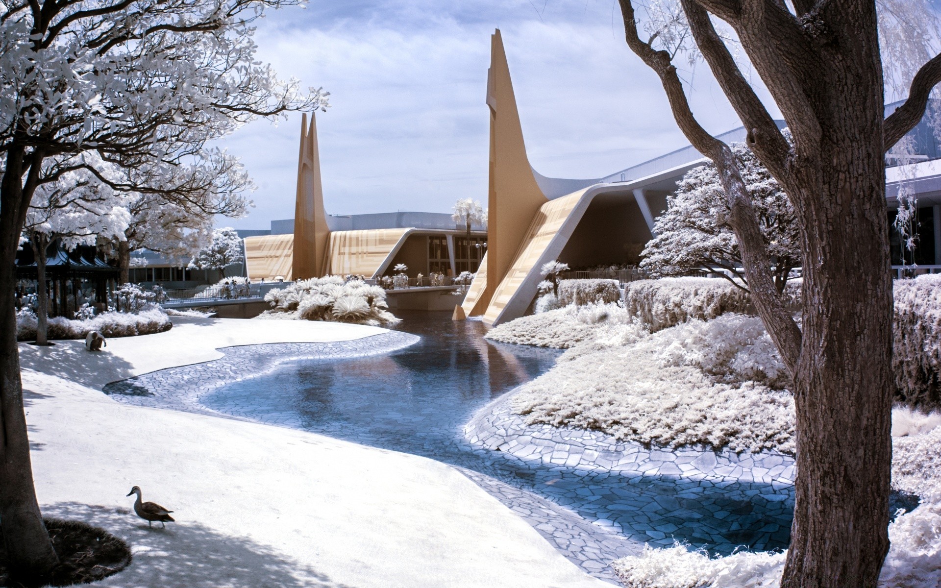 冬天 雪 木头 冷 室外 水 结冰 景观 自然 霜 冰 旅行 木头 天空 天气 风景 日光