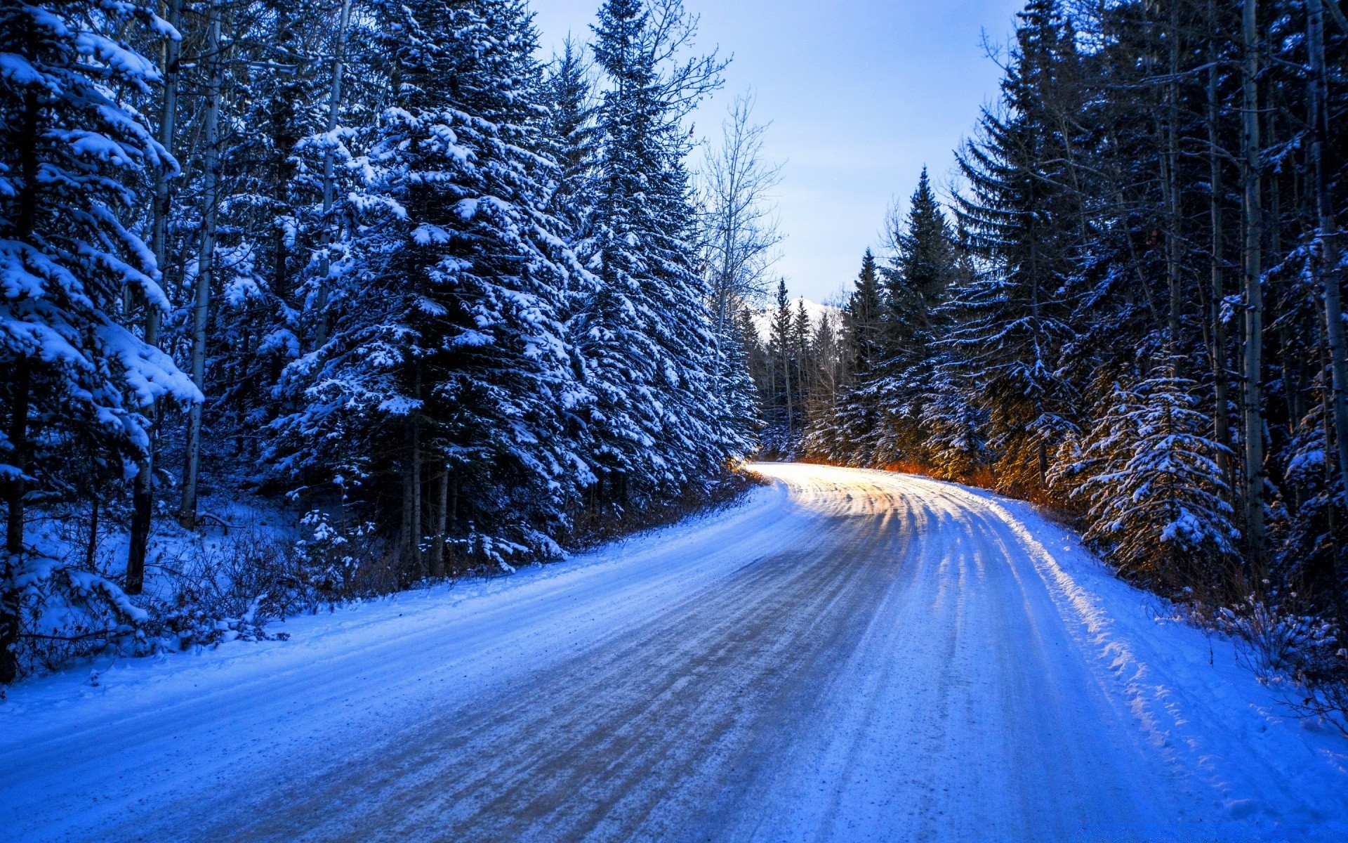 hiver neige bois gel froid paysage arbre saison congelés scénique route glace nature météo pin ruelle beau temps manuel scène