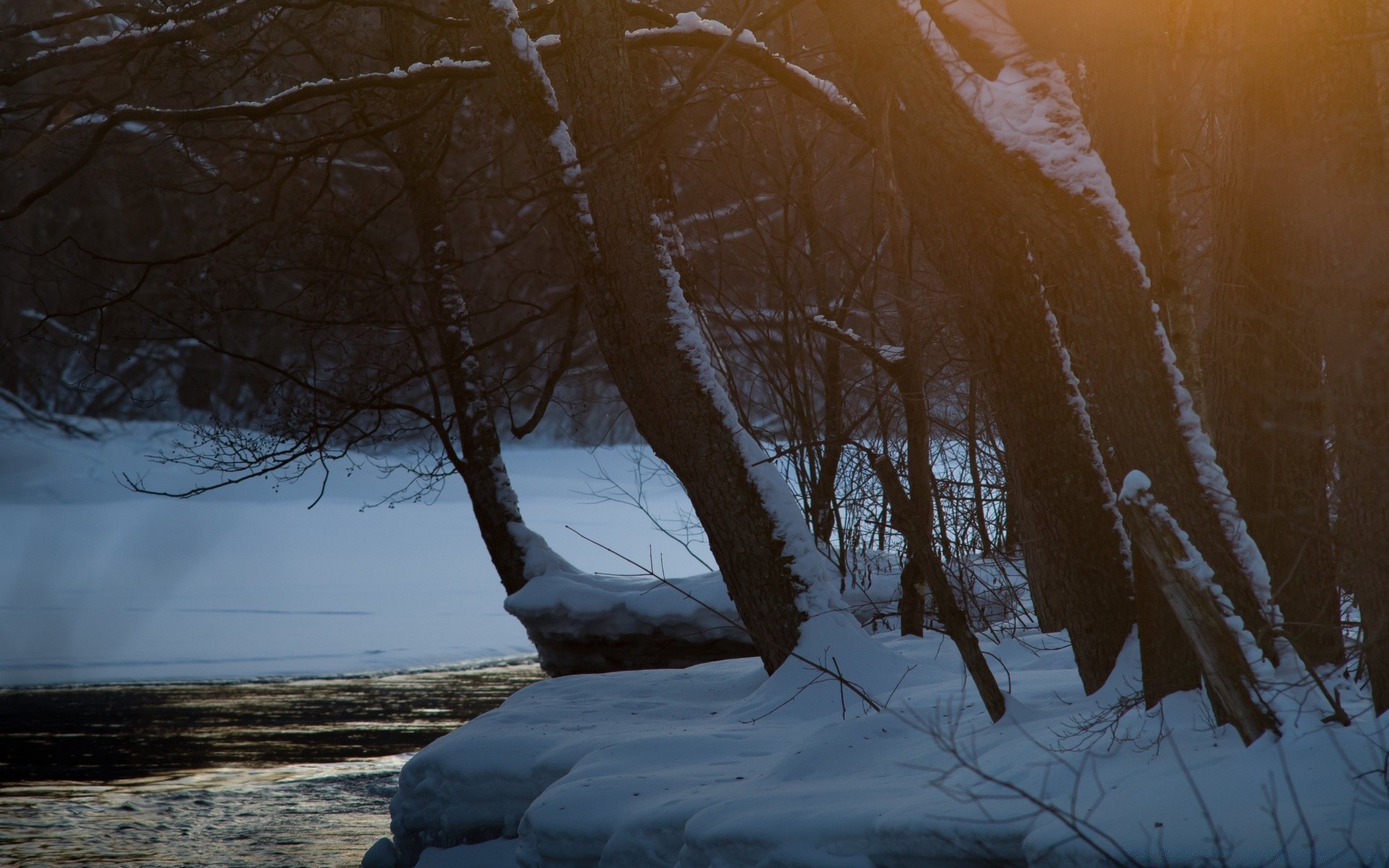 hiver neige aube paysage arbre froid temps eau brouillard coucher de soleil gel glace lumière réflexion congelé nature bois soir lac