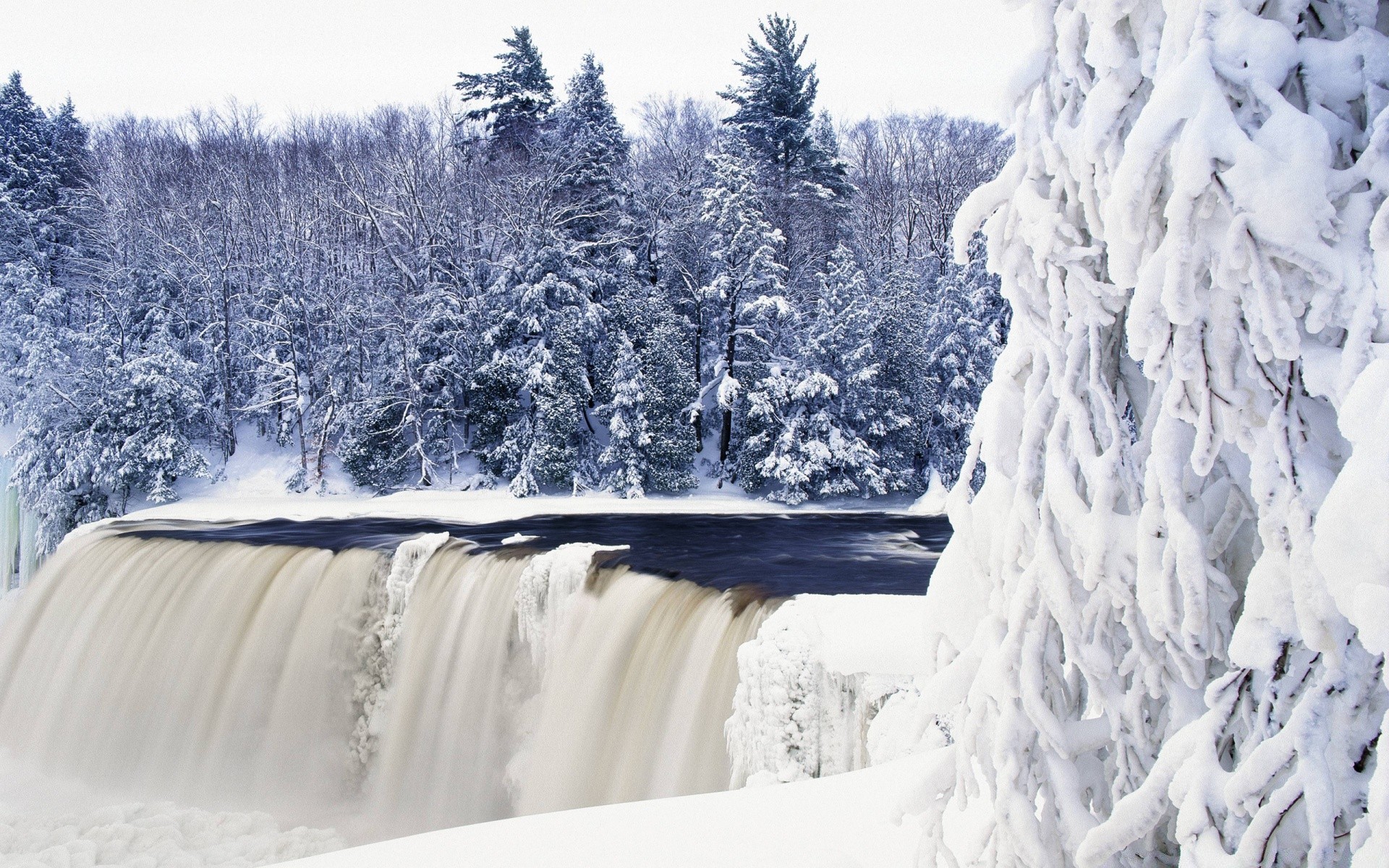 winter snow cold ice frost frozen wood scenic mountain landscape nature tree season snowdrift snowy weather outdoors frosty