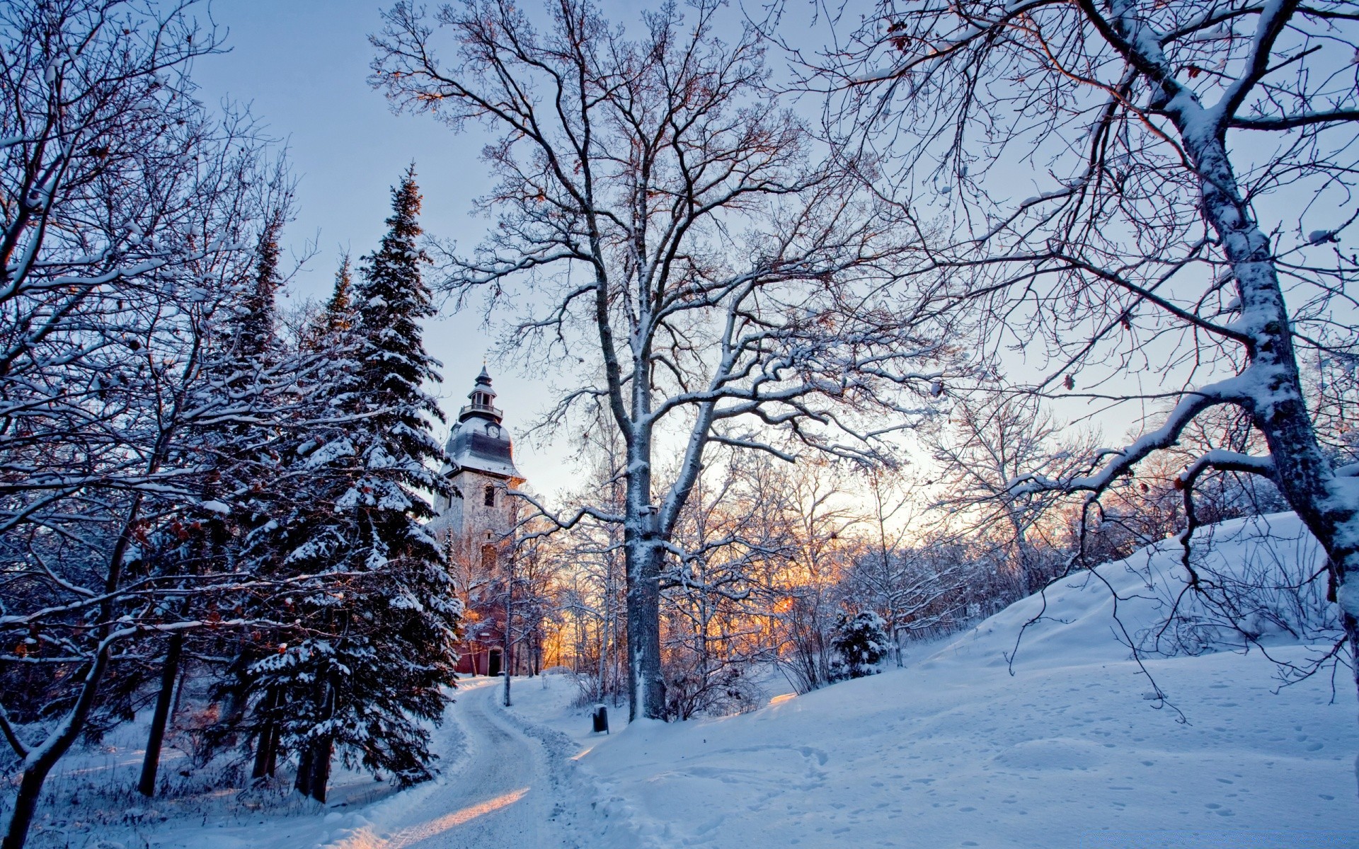 hiver neige froid bois bois saison gel paysage congelé météo glace scénique branche scène neigeux parc neige-blanc paysages nature