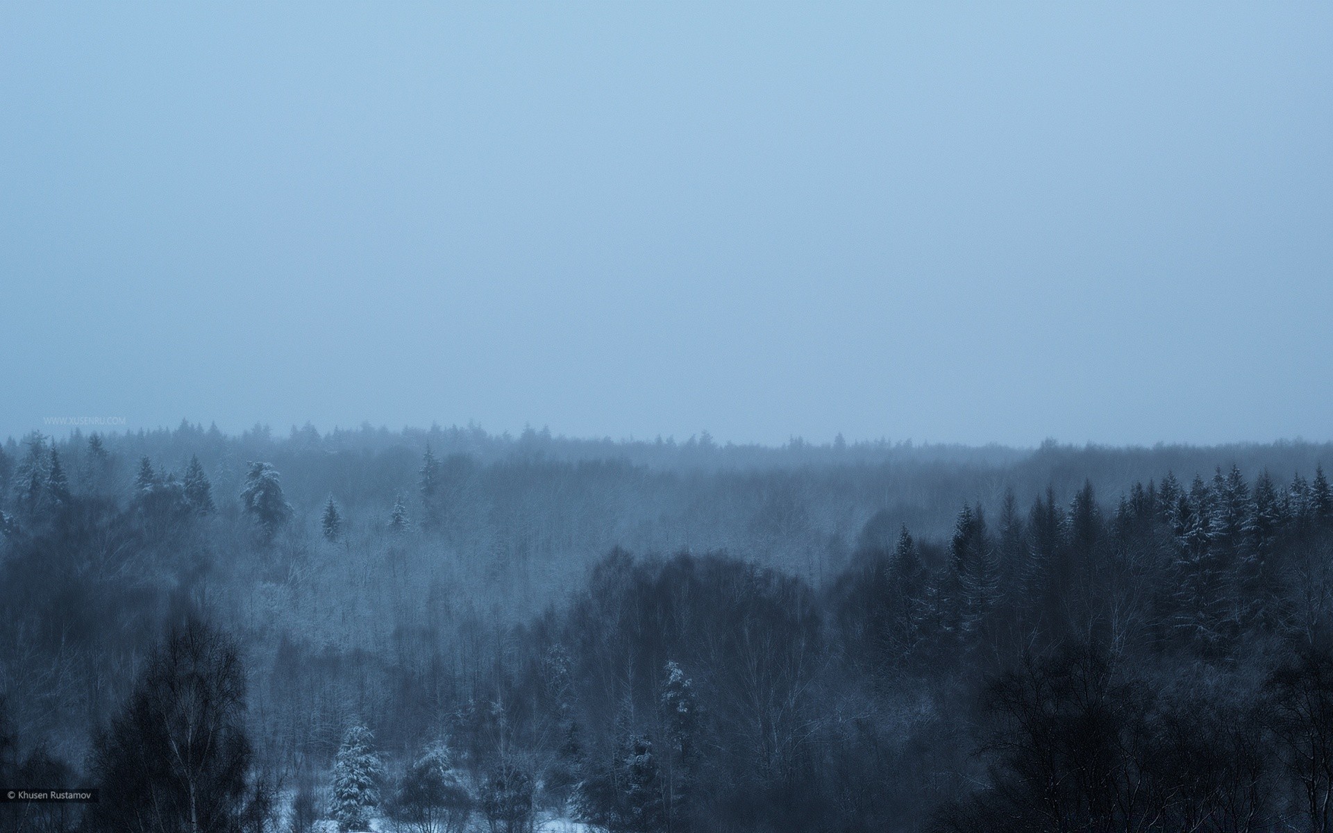 inverno nebbia nebbia paesaggio albero natura neve fumo cielo autunno alba tempo legno all aperto foschia acqua fredda