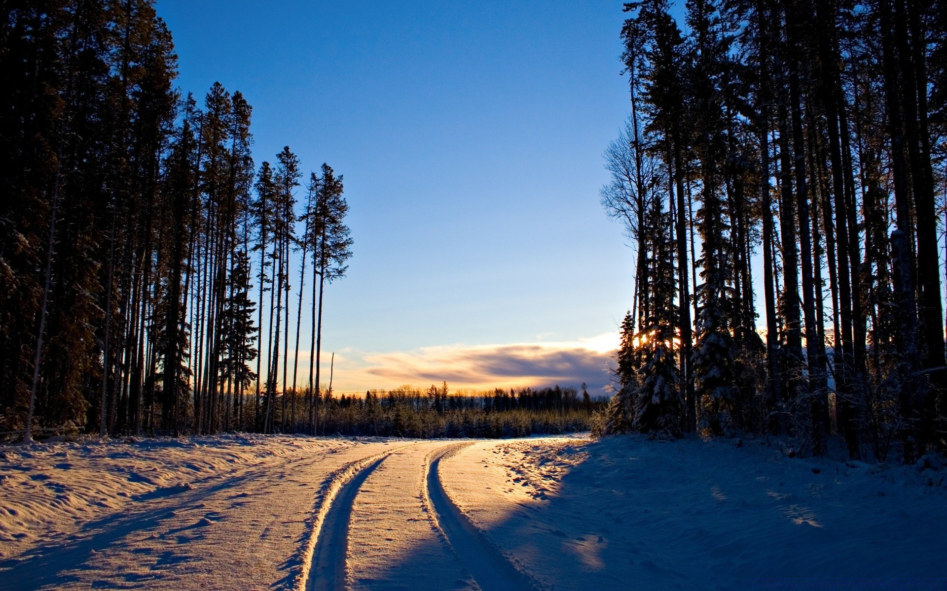 winter tree wood nature landscape snow outdoors dawn fall fair weather sky road fog cold park sun light