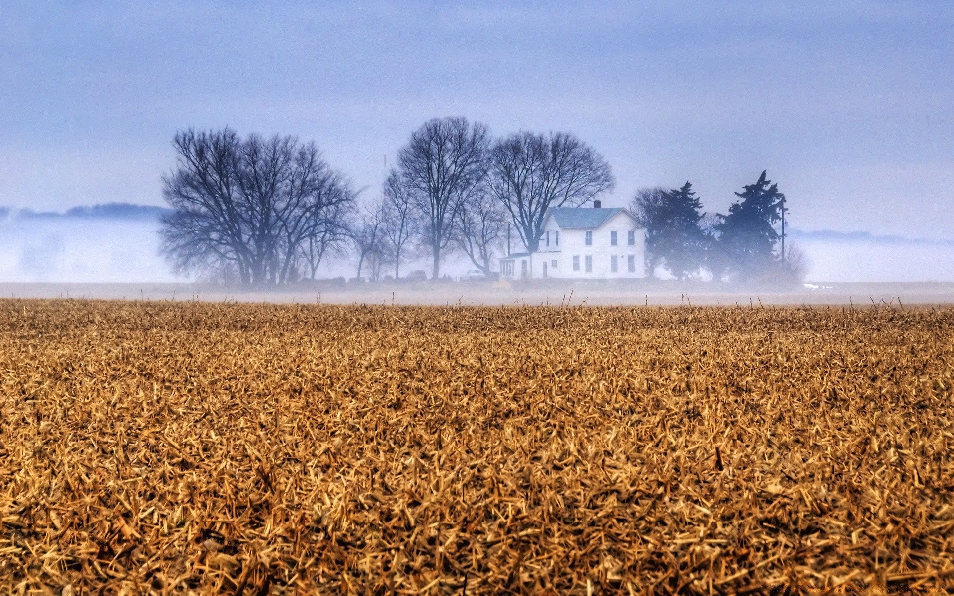 winter agriculture nature farm outdoors landscape wheat crop field cereal pasture rural corn countryside sky growth season fair weather soil