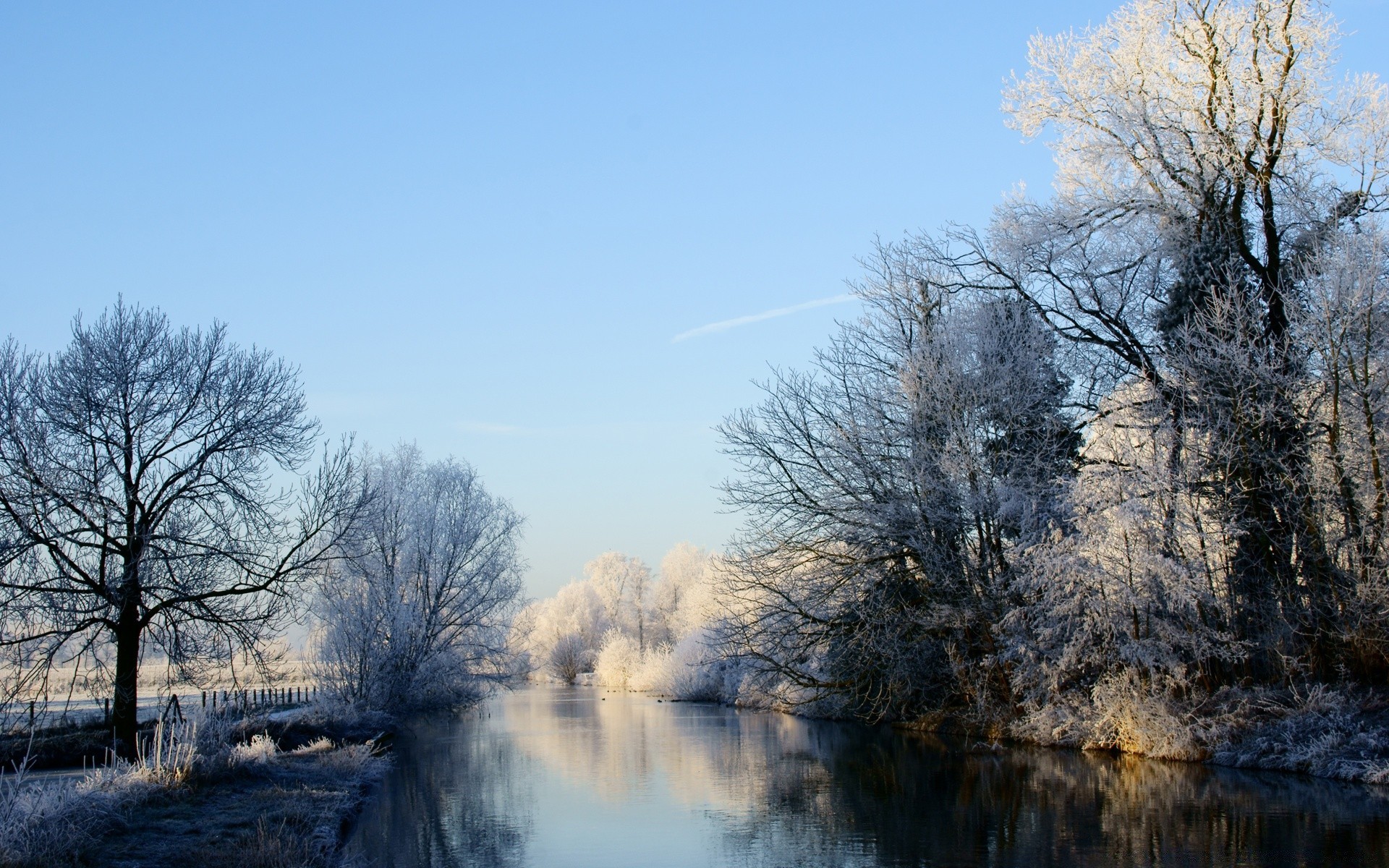 inverno paesaggio neve albero legno freddo natura gelo tempo nebbia ghiaccio stagione congelato all aperto parco alba scenico bel tempo ramo