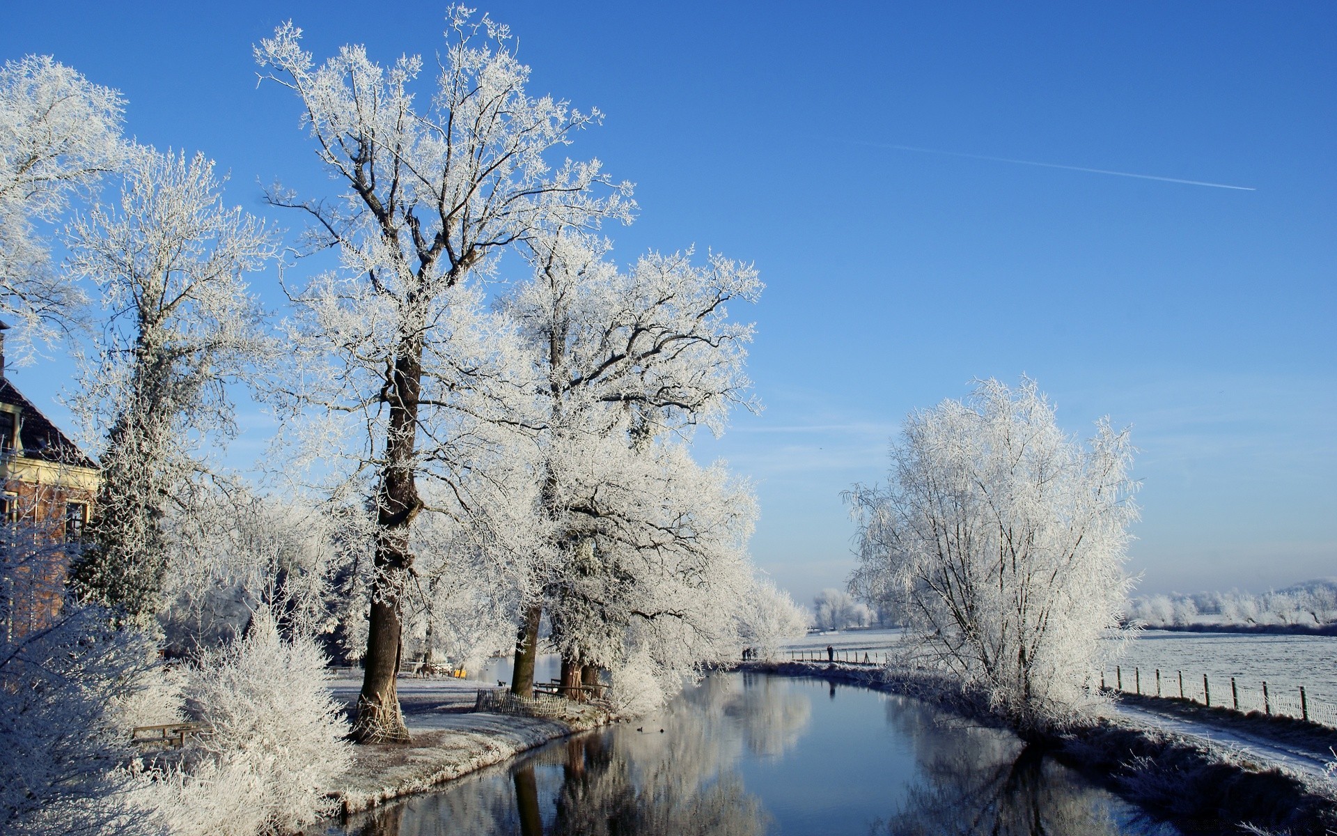 zima śnieg mróz zimne drewno drzewo krajobraz mrożony lód pogoda natura na zewnątrz malowniczy sezon