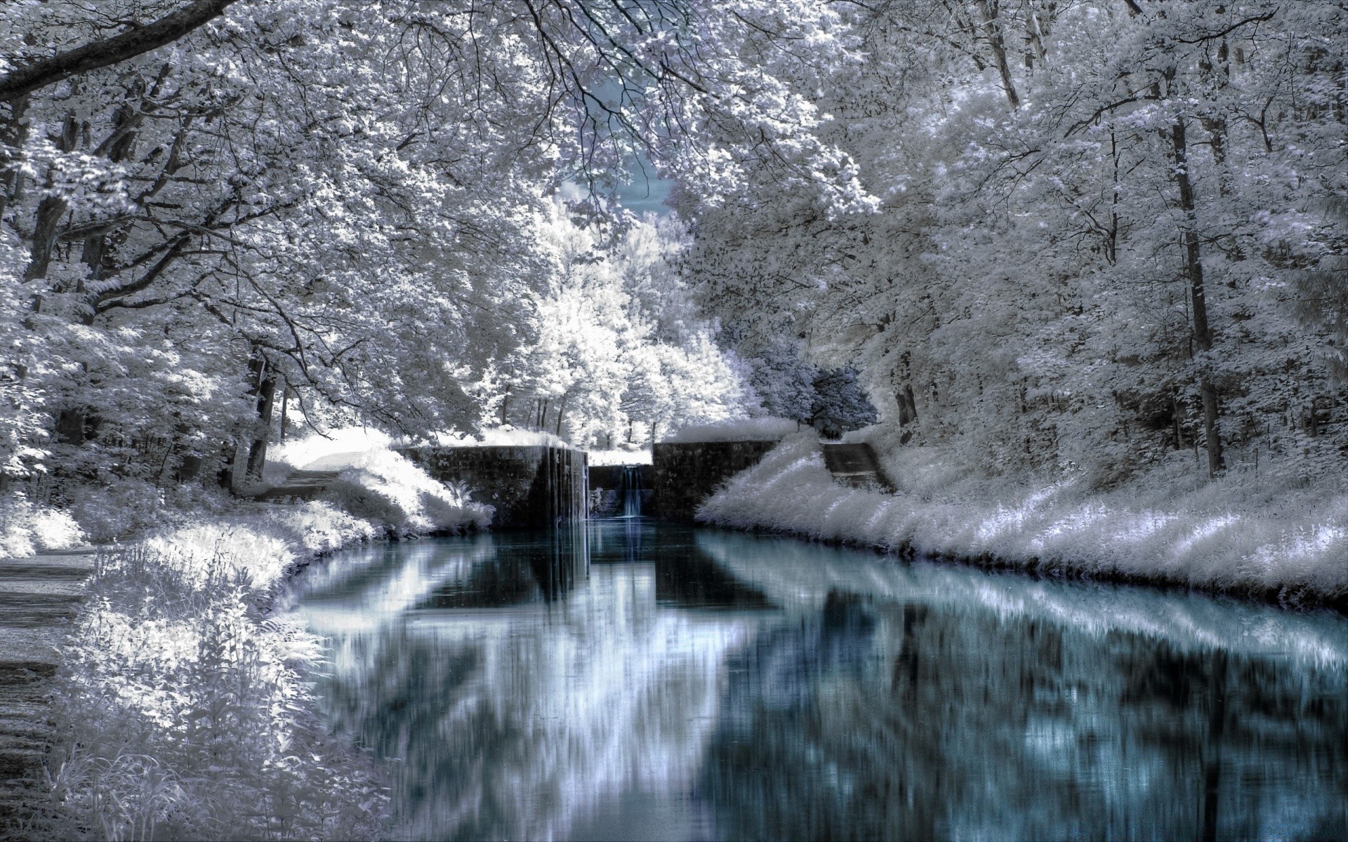 hiver froid neige eau glace congelé paysage gel bois nature rivière bois à l extérieur météo trafic saison voyage environnement