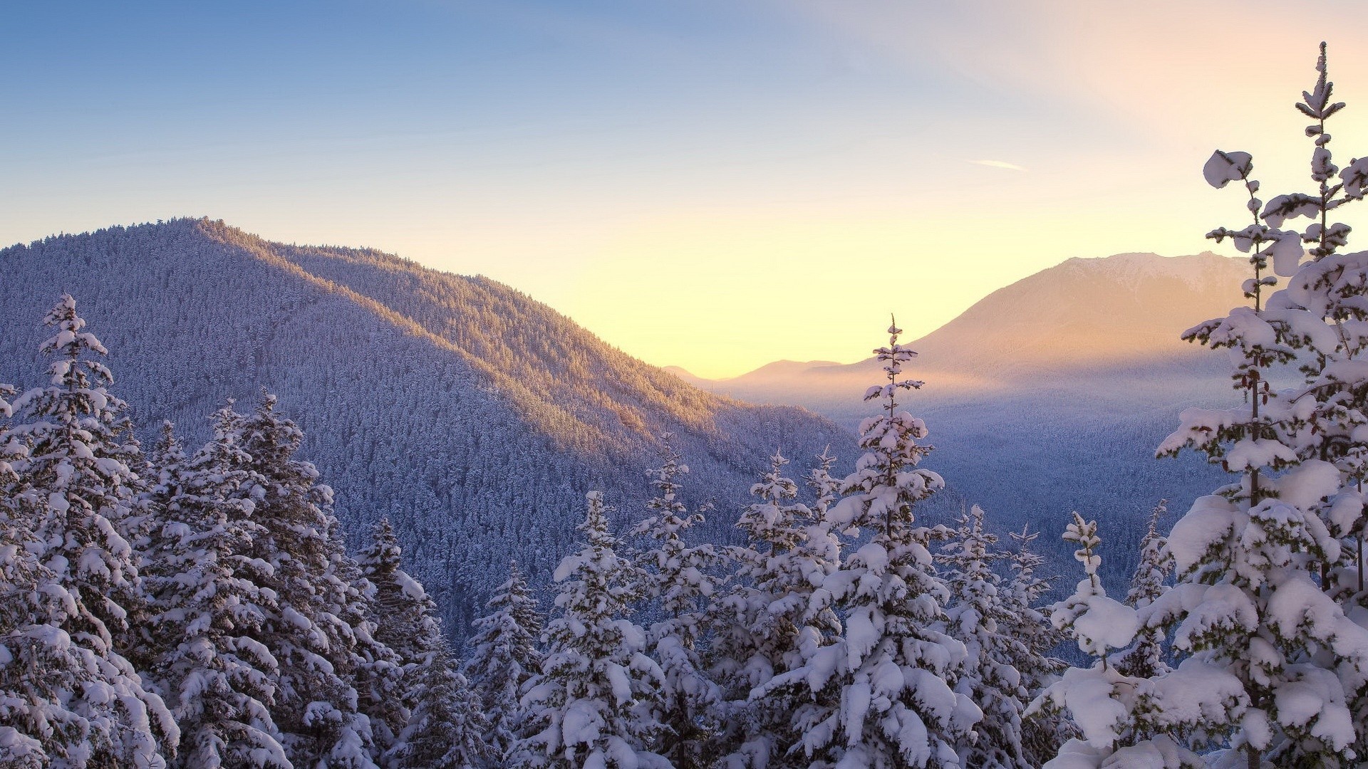 winter snow mountain landscape cold wood scenic nature tree sky outdoors mountain peak hill travel evergreen