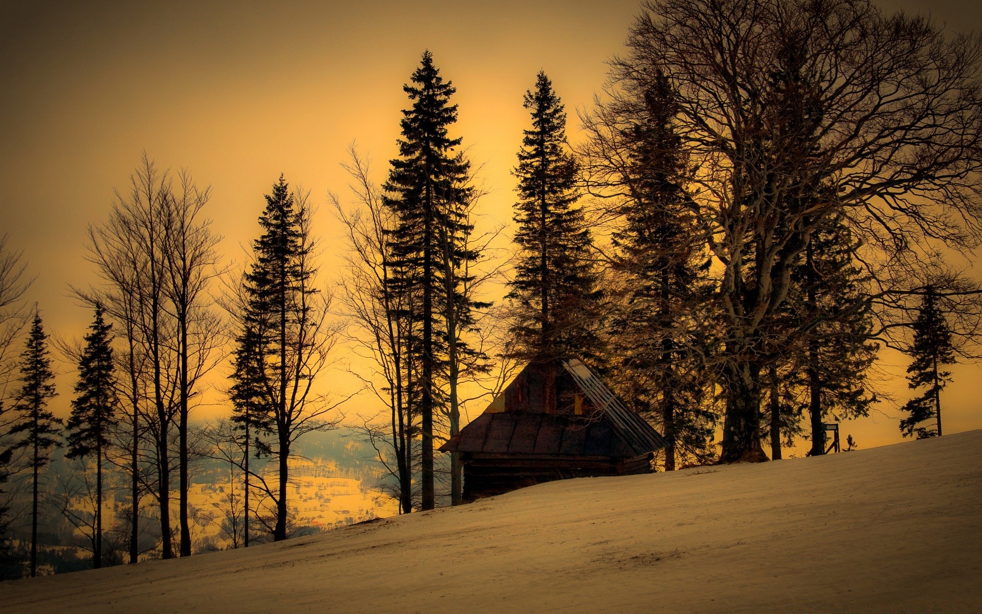 winter tree wood dawn snow landscape fog sunset mist fall nature outdoors sun light