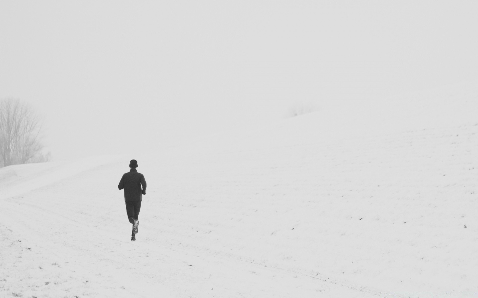 winter snow cold landscape fog ice weather action outdoors frozen bird light snowstorm track tree adult frosty nature beach