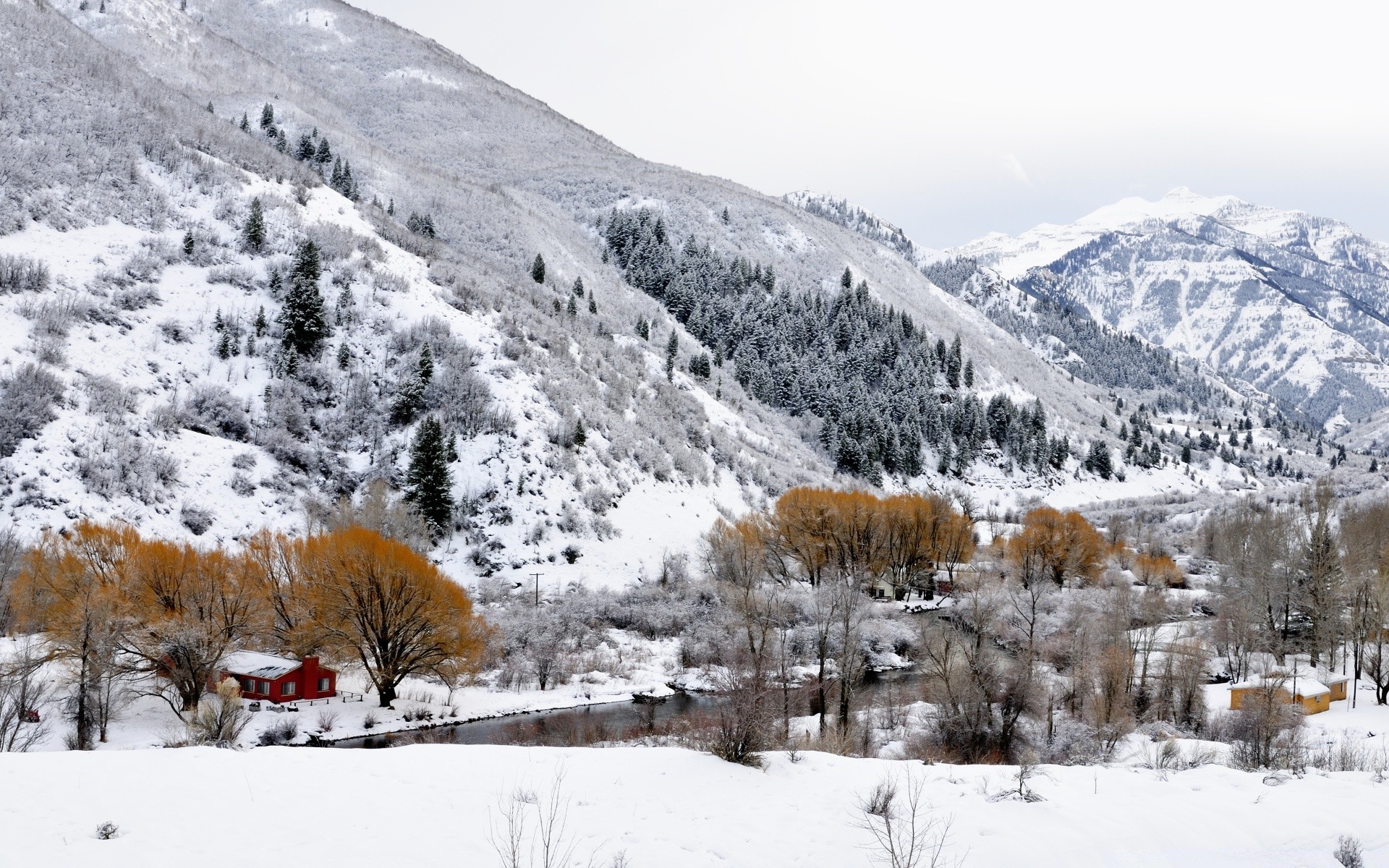 winter schnee berge kälte landschaftlich holz saison landschaft baum resort verschneit gefroren eis hügel alpine berggipfel wetter chalet frost skigebiet