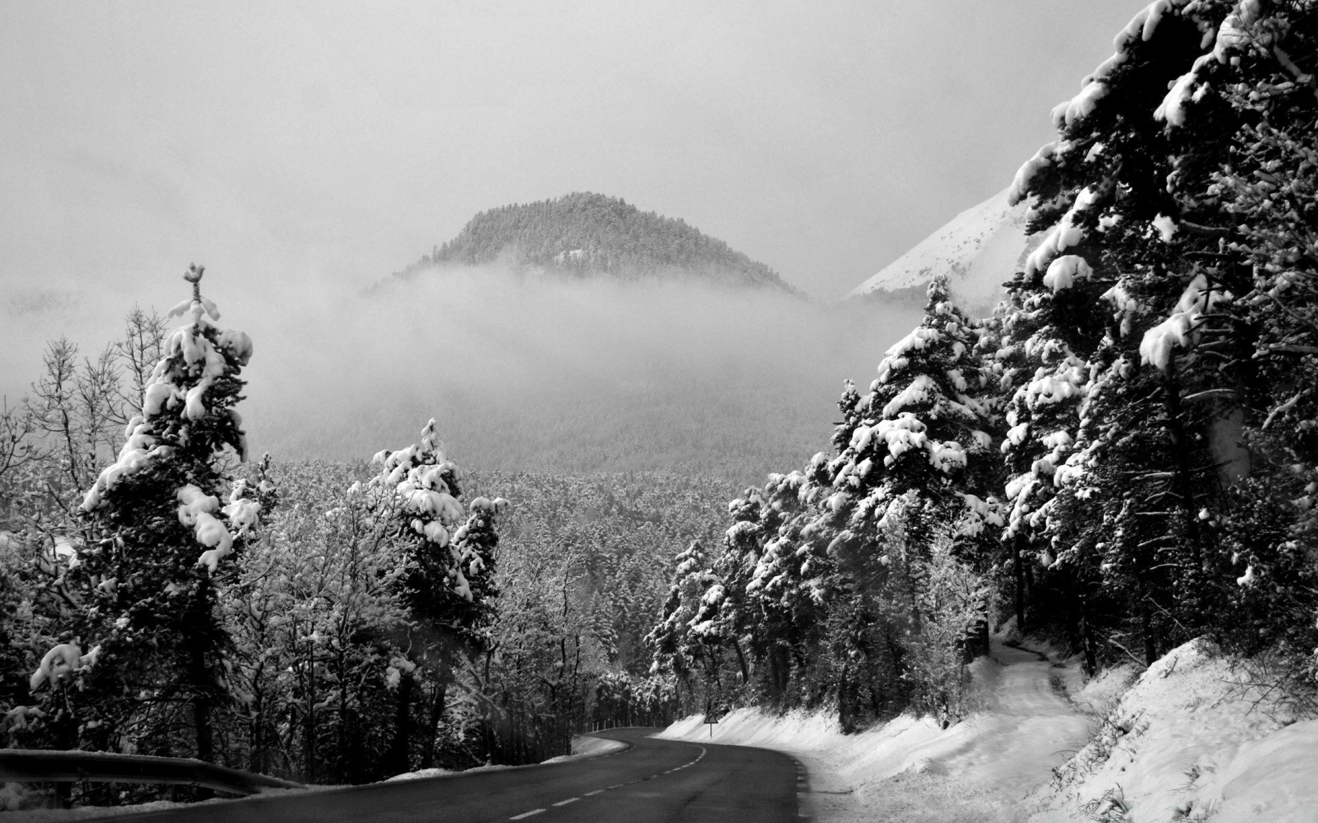 hiver neige bois brouillard paysage froid montagnes bois glace à l extérieur brouillard gel nature scénique monochrome