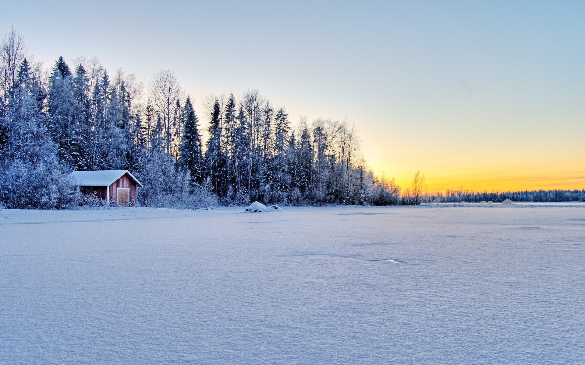 hiver neige froid bois gel congelé paysage glace météo givré bois scénique montagnes aube brouillard saison pleside evergreen laponie