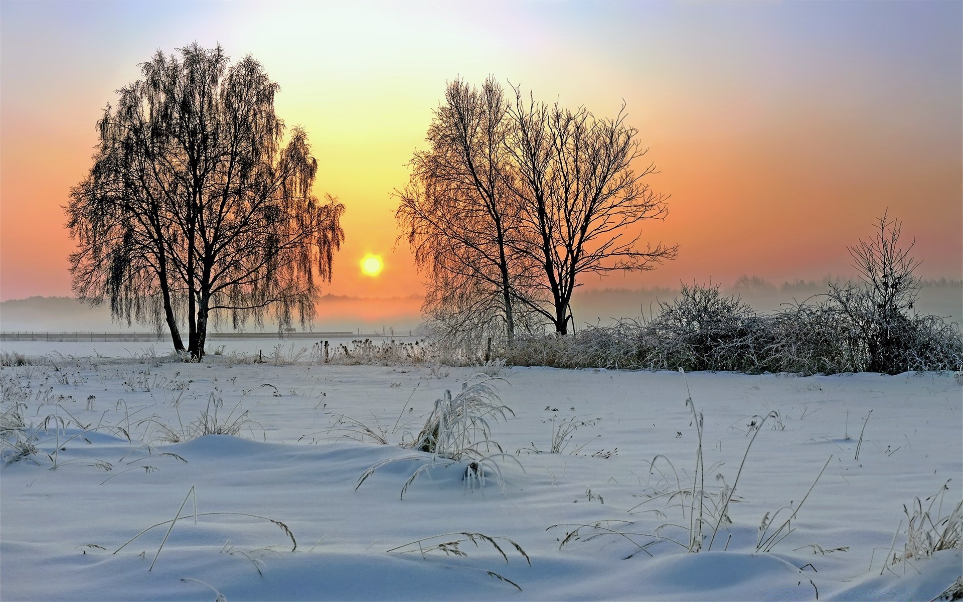 inverno neve congelado frio paisagem amanhecer geada tempo árvore gelo temporada natureza bom tempo pôr do sol madeira sol cênica neve-branco névoa