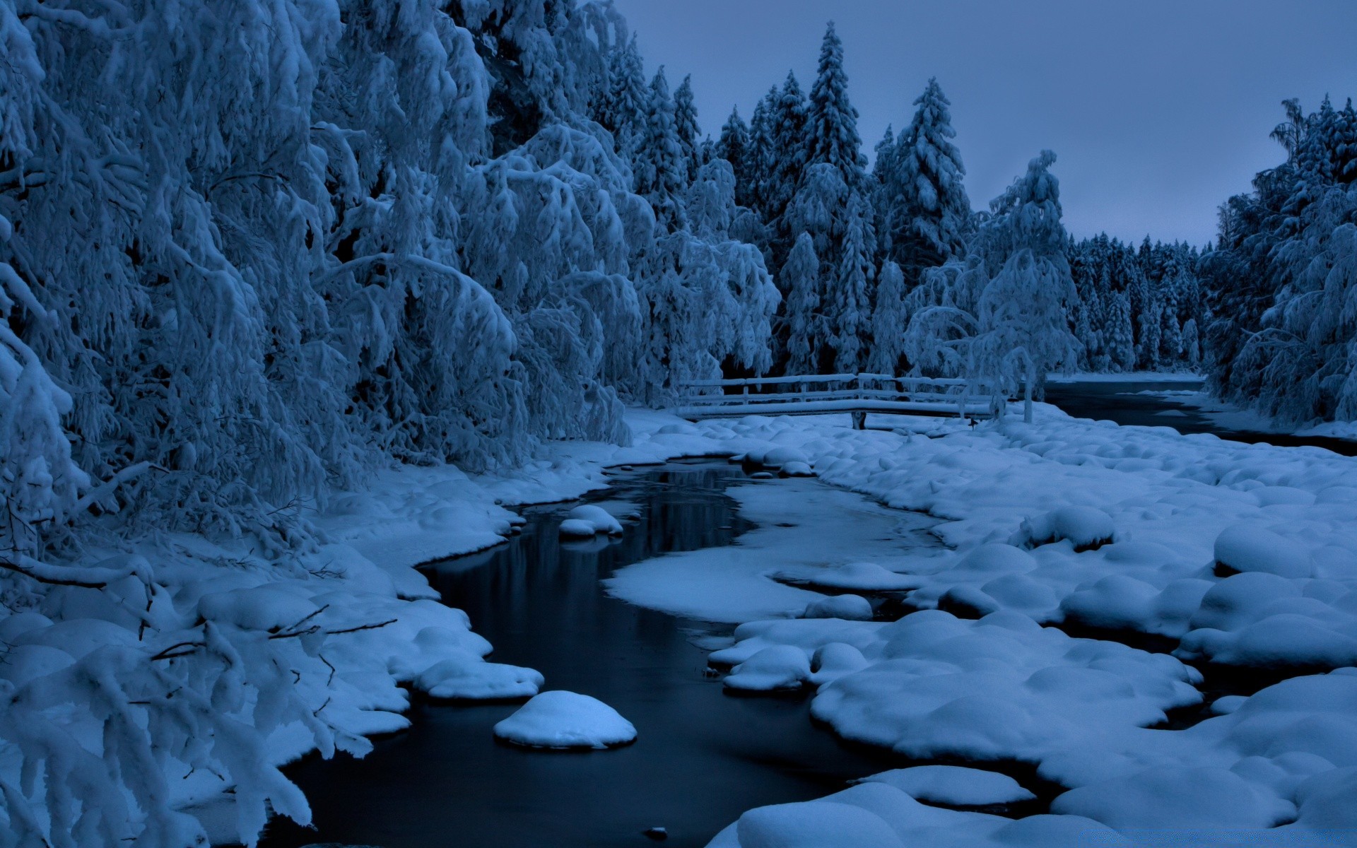 winter snow ice cold frost wood frozen water outdoors landscape nature tree river frosty