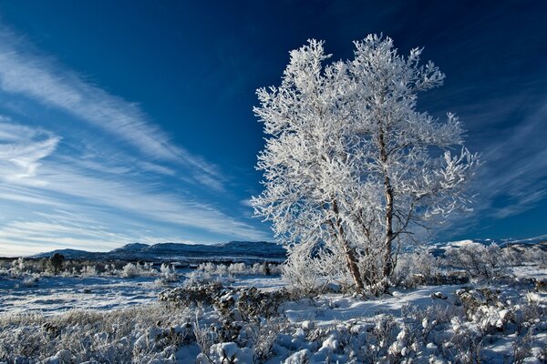 Winter landscape of cold winter