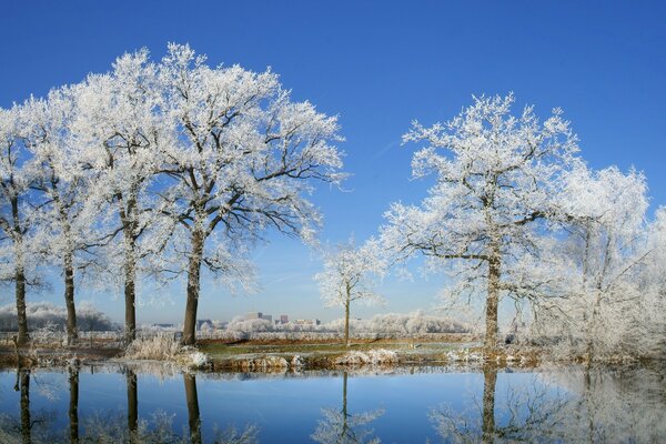 Wintertraum der Stadtparks