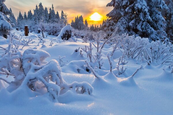 Schneeverwehungen im verschneiten Wald