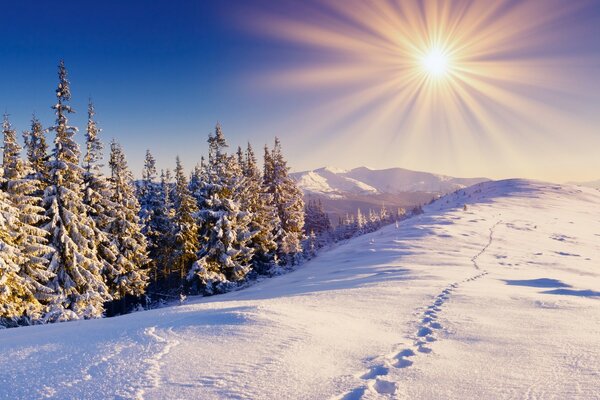 冰雪复盖的山坡上一个寒冷的早晨