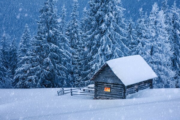 Cabana residencial na floresta de Inverno