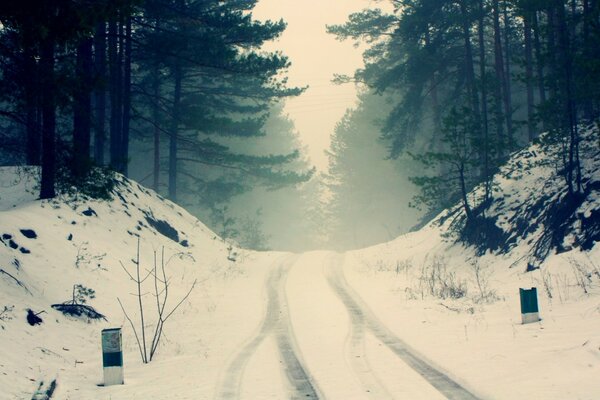 Car snow tracks through forest road