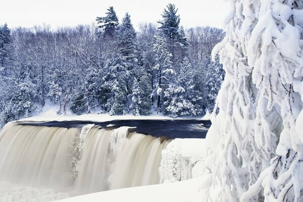 Gefrorener Wasserfall im Winterwald