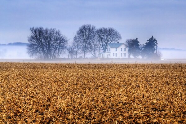 Nebeliger Herbst auf dem Familienfarm