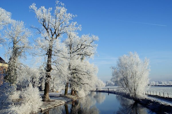 A river in a snowy winter park