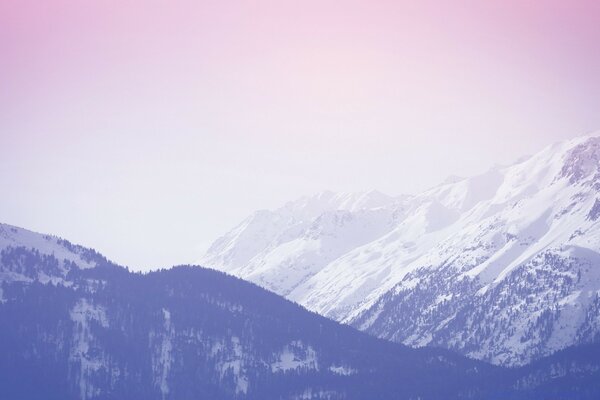 Fog surrounds the mountain cliffs