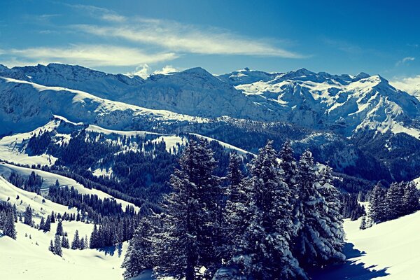 Montagnes enneigées sur fond pittoresque