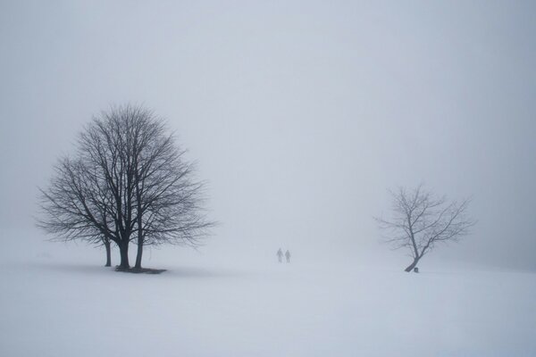 Two people in a snowy fog