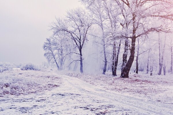 Landschaft mit schneebedeckten Straßen und Bäumen