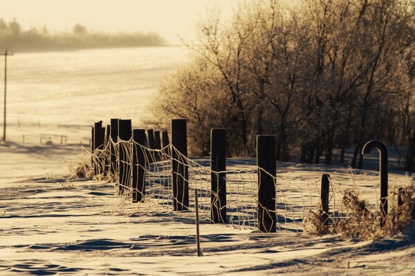 Recinzione di neve con rete in campo