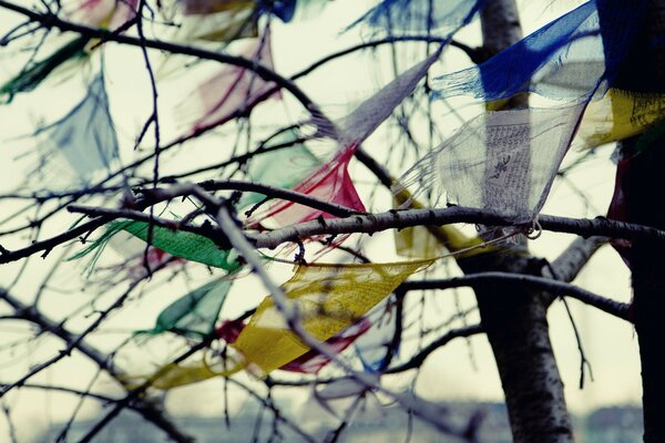 Bunte Lumpen hängen am Baum