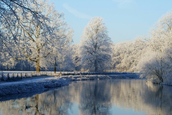 A snow-covered forest with an unfrozen lake