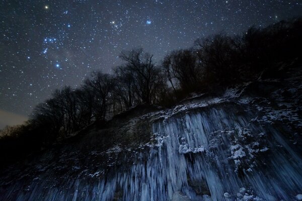 Les étoiles bleues illuminent la surface de la terre