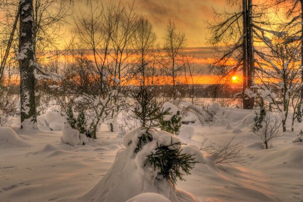 Kalter Sonnenuntergang des kalten Waldes