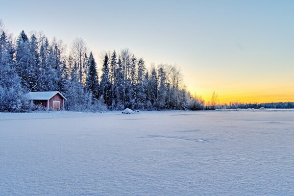 Matin glacial d hiver sur le lac