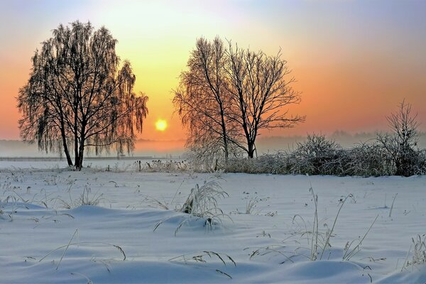 Campo de invierno y el sol se pone