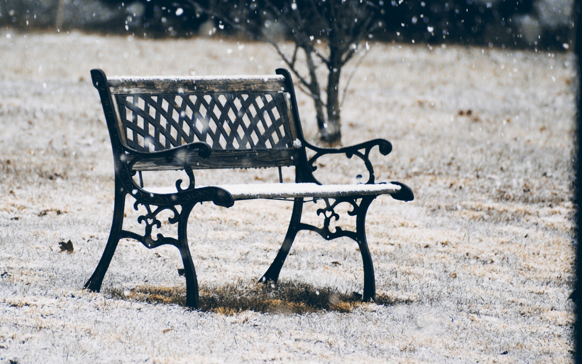 hiver banc siège bois en bois parc chaise extérieur nature vide reste panier extérieur un jardin couleur