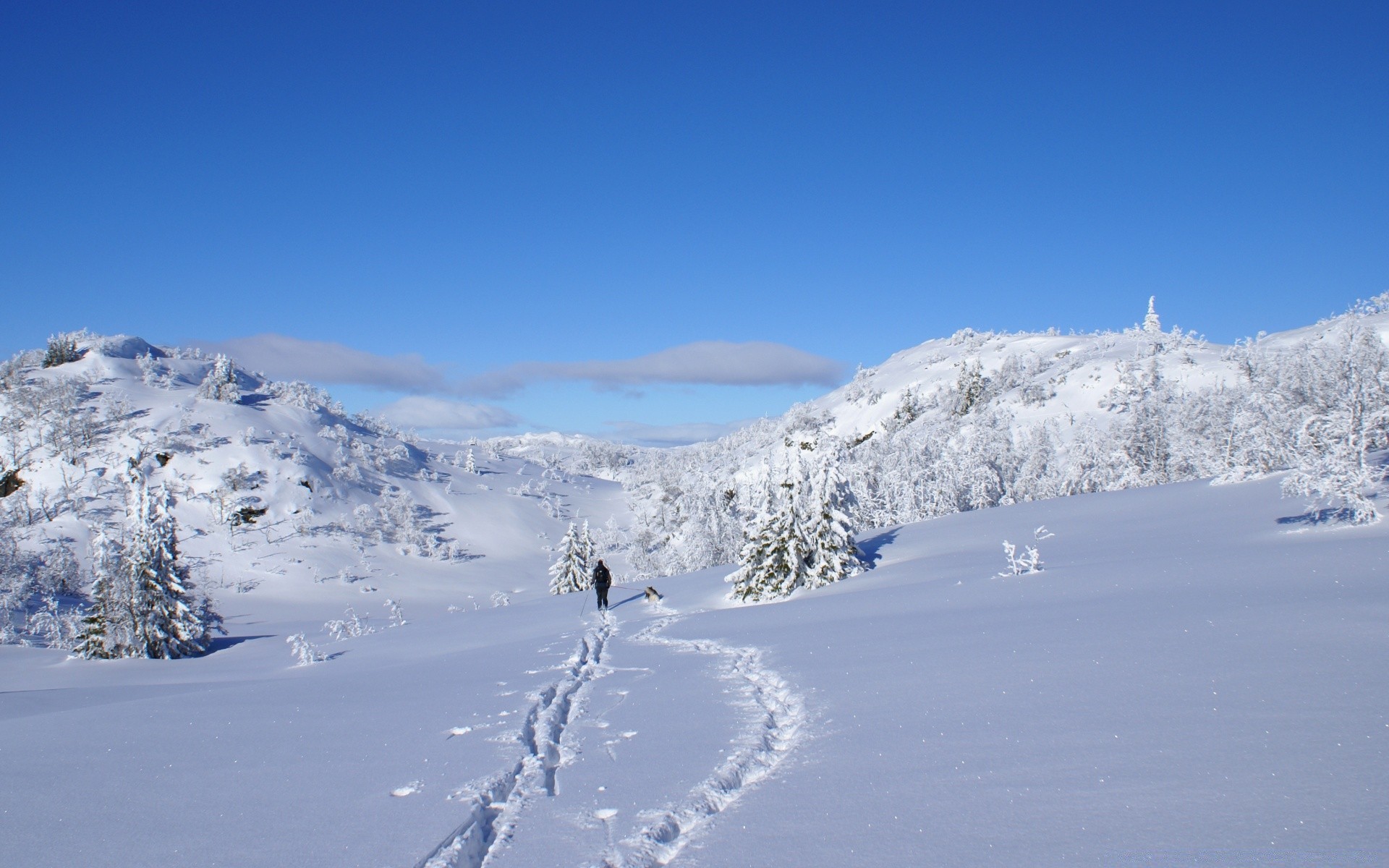 winter snow cold mountain ice mountain peak resort scenic snowy landscape frost