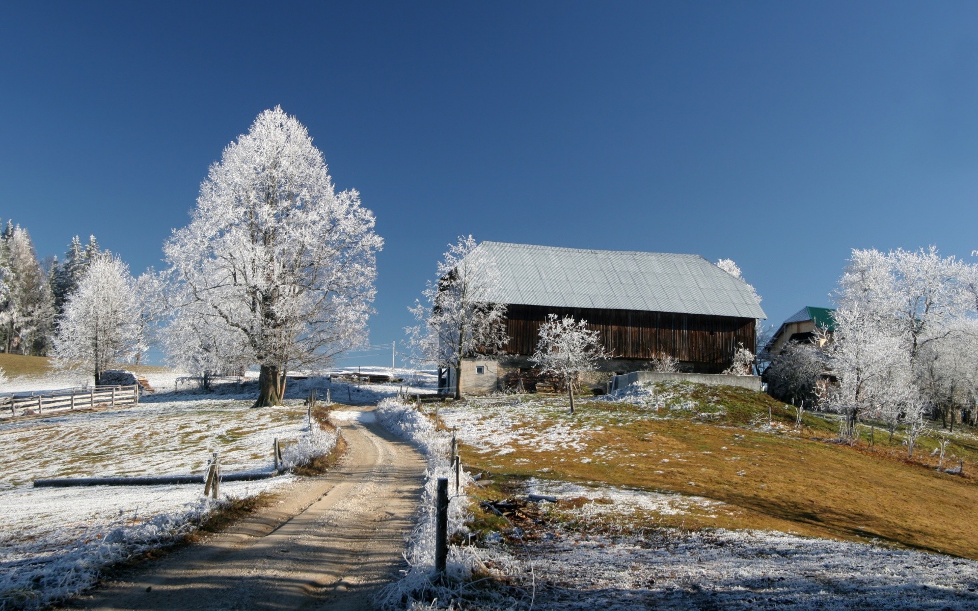 hiver neige nature ciel paysage bois froid à l extérieur bois glace eau voyage congelé gel maison météo