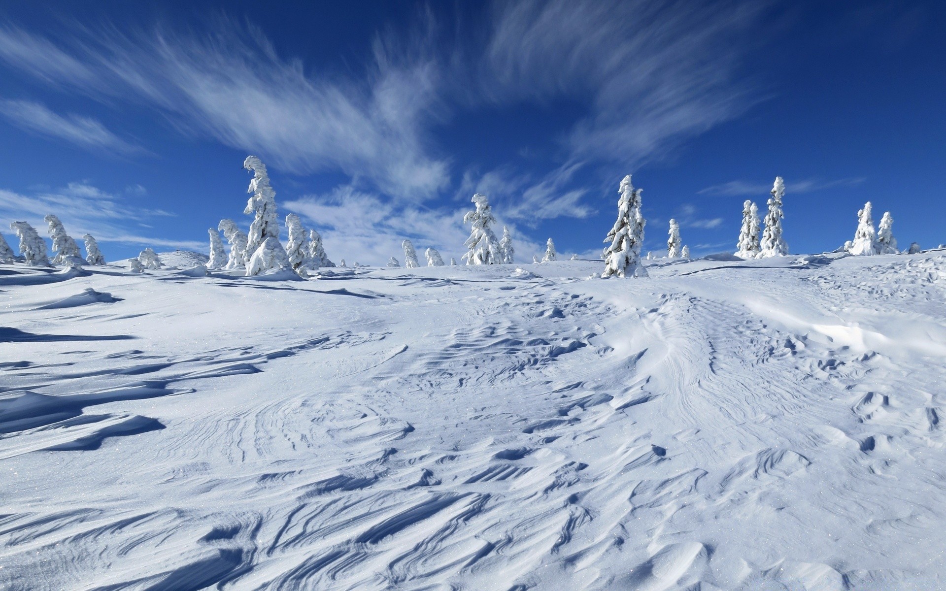 kış kar soğuk dağlar dağ zirvesi buz don donmuş toz tesis snowboard sezon manzara tepe alp doğal parça yamaç karlı hava durumu