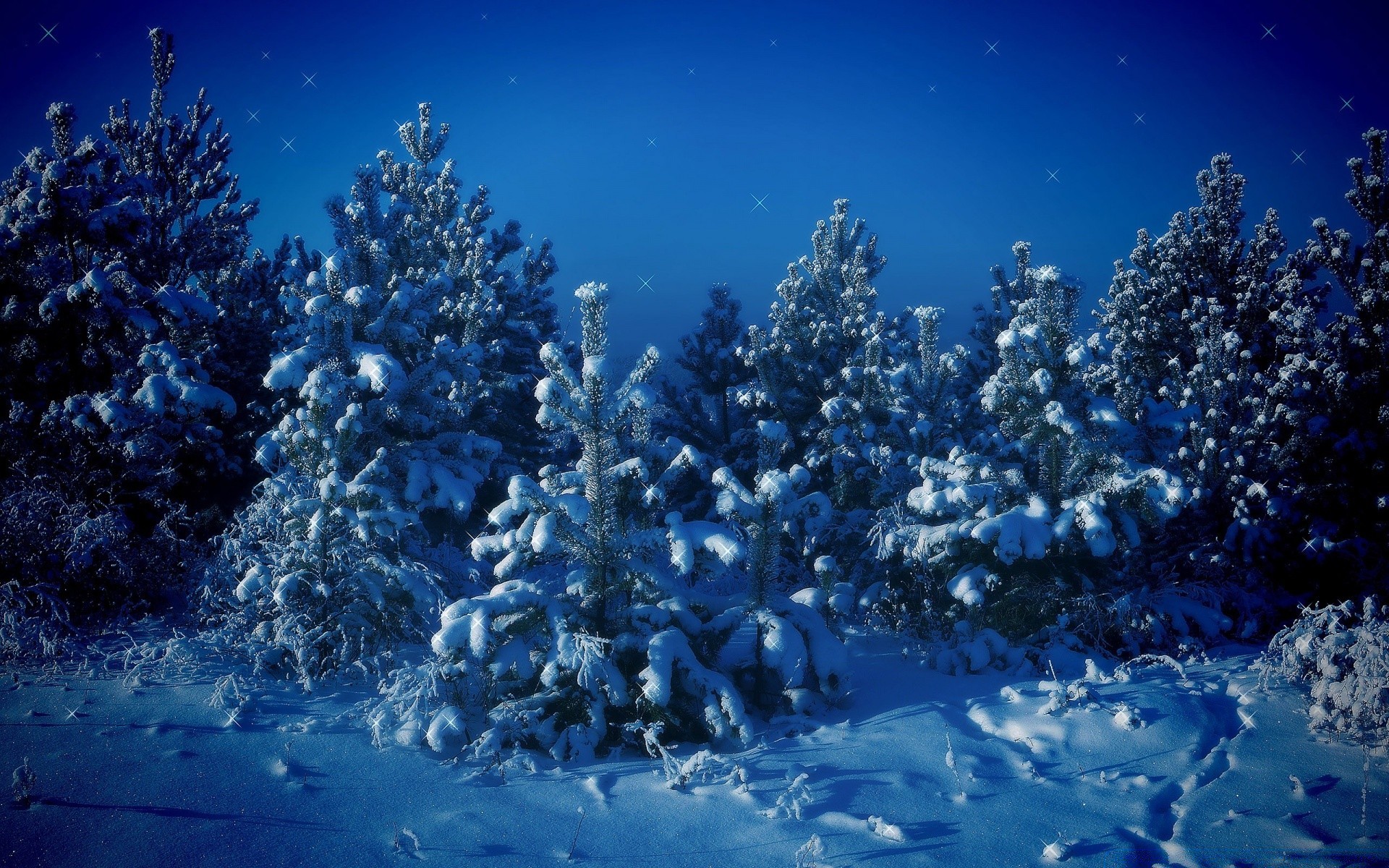 hiver sous-marin froid neige nature gel clair noël congelé météo eau scénique