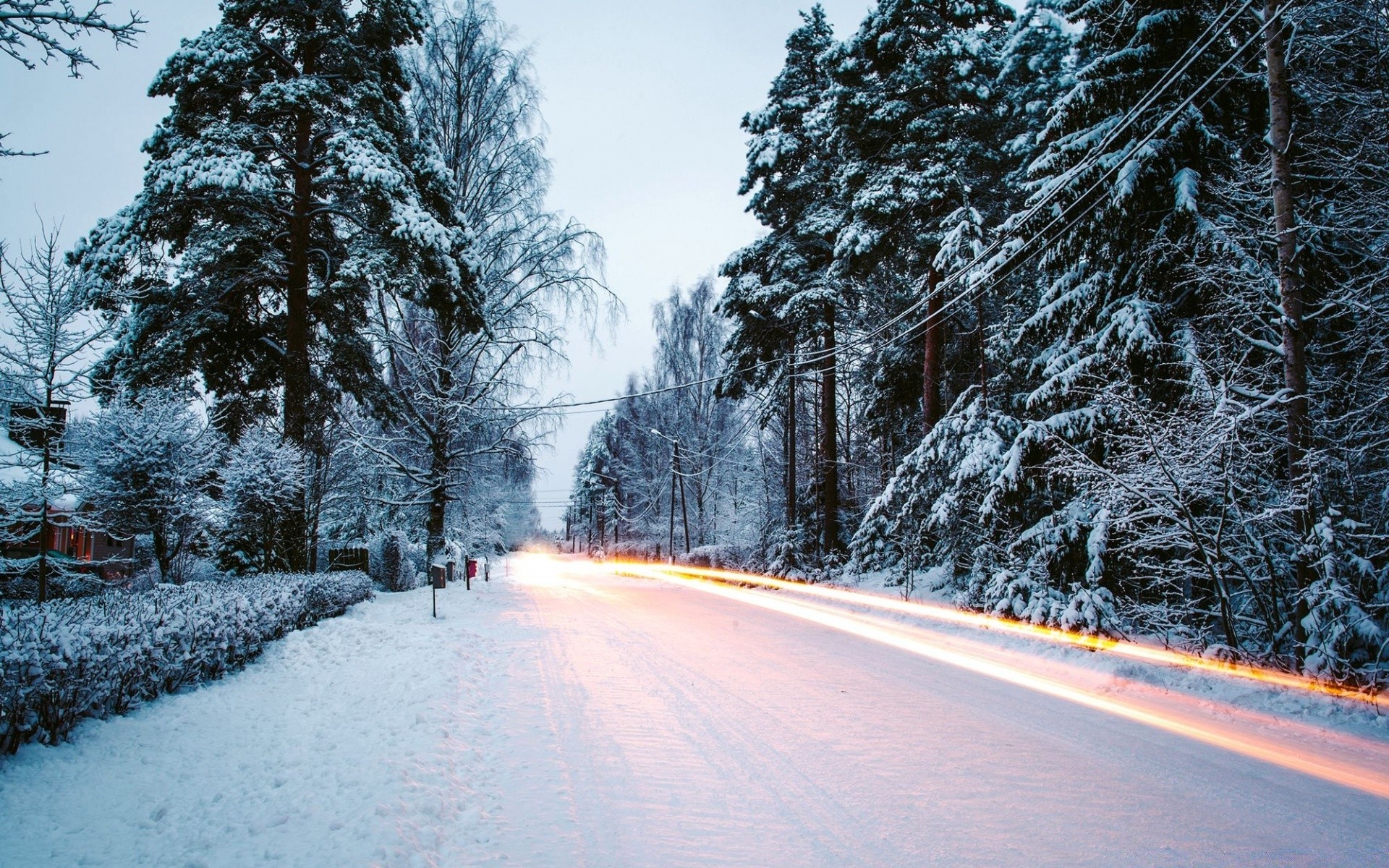 hiver neige gel froid bois route bois congelé météo paysage glace saison guide ruelle scénique nature givré brouillard beau temps