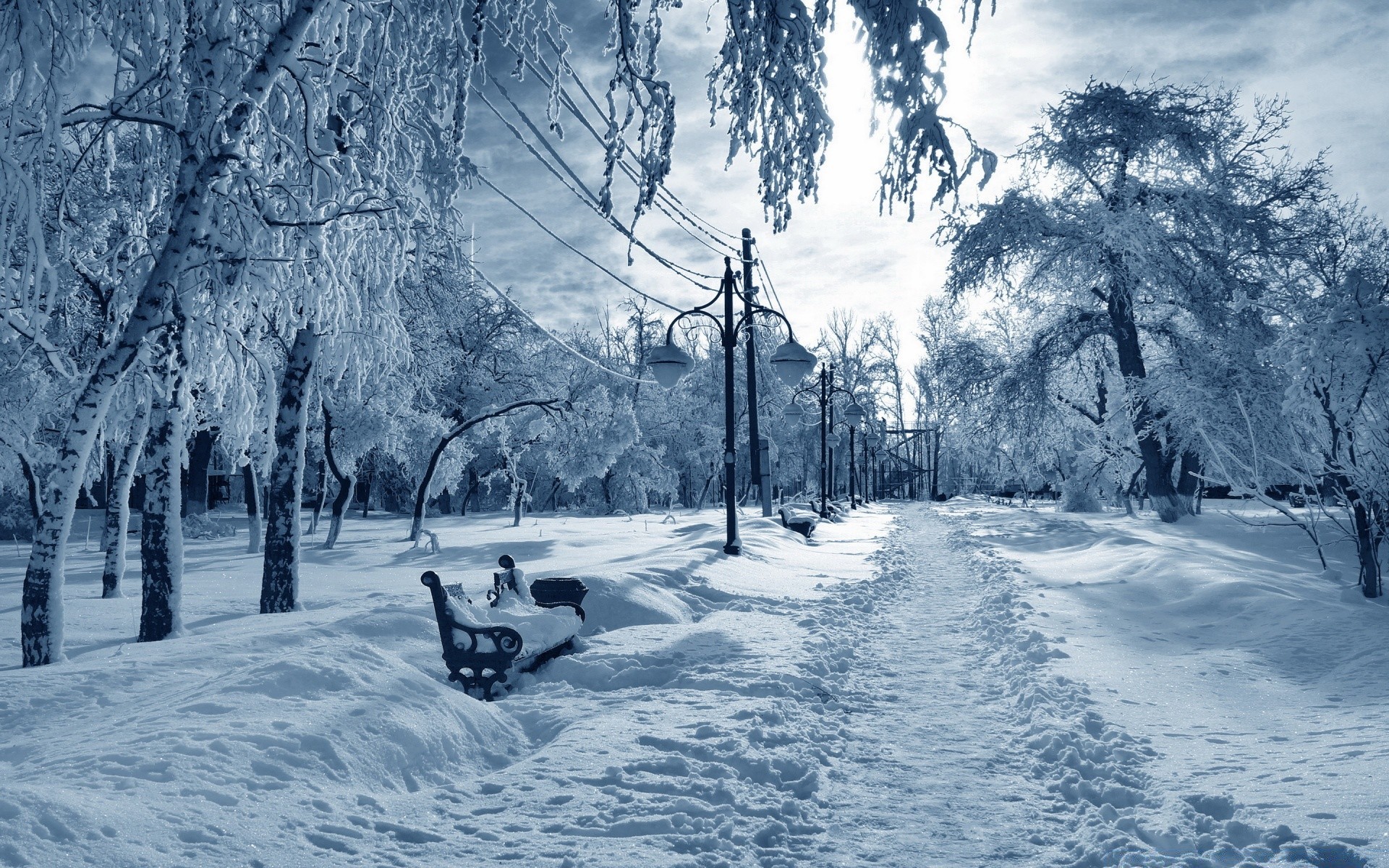 winter schnee kalt frost gefroren eis holz holz saison schneesturm landschaft verschneit wetter frostig eisig landschaftlich natur