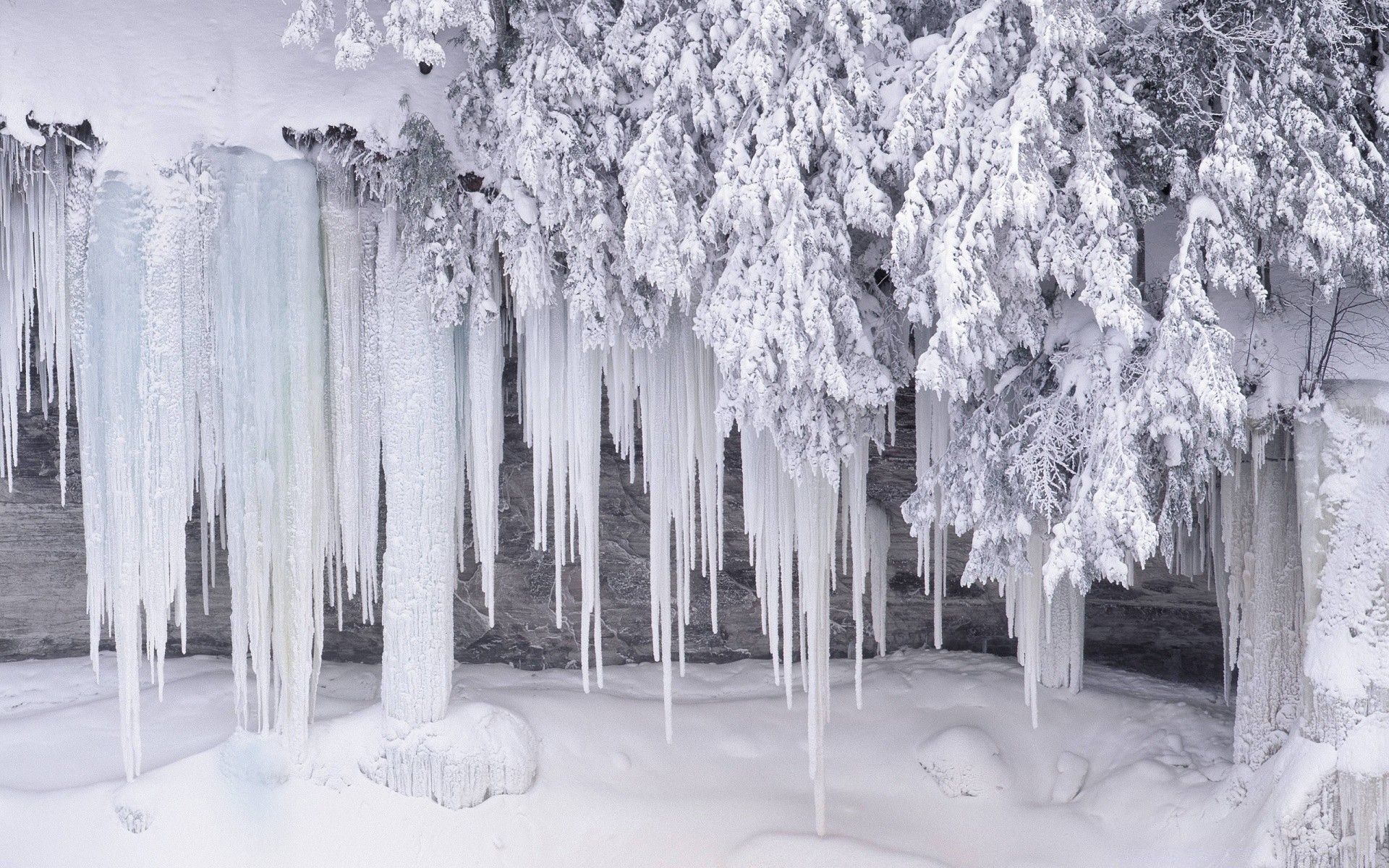 hiver glaçon neige congelé gel glace glacial froid givré saison arbre paysage météo nature bois cristal